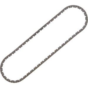 Honda CRF 230 L Camshaft Chain Silent Kit - Hot Cams - Silent - `08-`09 Honda CRF 230 L Camshaft Chain Silent Kit - Hot Cams - Silent - `08-`09